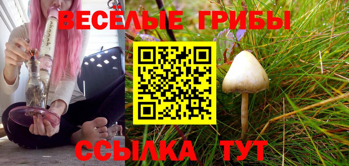 Армавир  Псилоцибиновые грибы GOLDEN TEACHER  Вход с VPN 